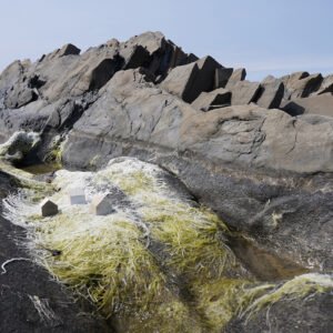 Anne chantal Lagacé - Artiste en arts visuels